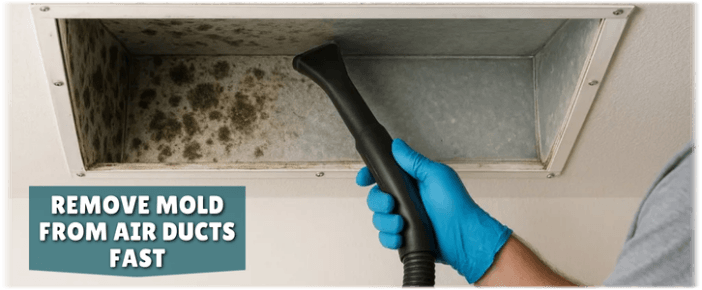 Air Duct Mold Removal in Pasadena